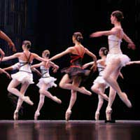 Royal Ballet Opera Organisation Dance